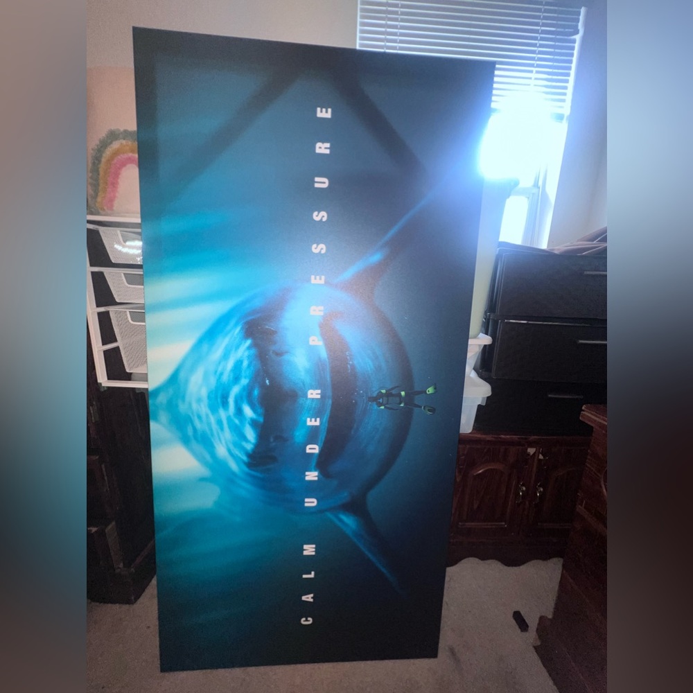 “Calm under pressure” Canvas / 60 × 30 / No Frame perfect condition